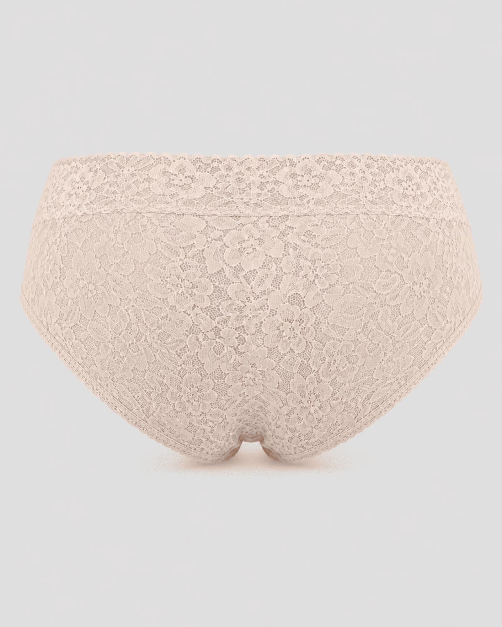 Lace Floral Brief