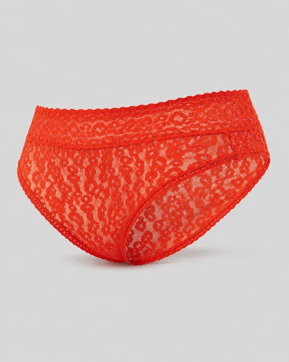 3-Pack Lace Cheetah Brief