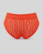 Lace Cheetah Brief
